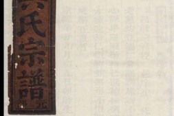 0326樊川吴氏宗谱 PDF电子版下载