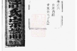 0386.仰高许氏宗谱： [东阳] PDF电子版下载