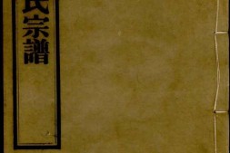1393西城张氏宗谱_合集 PDF电子版下载