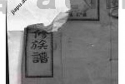 2813.宁乡衡田廖氏六修族谱： 十九卷，首三卷 PDF电子版下载