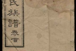 3656.醴陵王仙潘氏三修族谱： 六卷，首一卷 PDF电子版下载