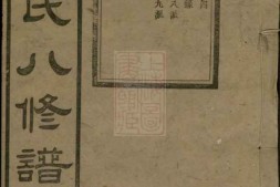 7976.湘潭唐氏八修谱 PDF电子版下载