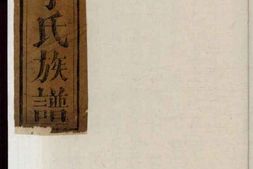 0316嘉鱼李氏族谱_合集 PDF电子版下载