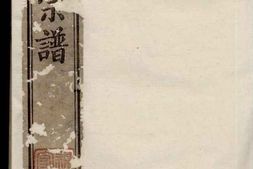 0339吕城坝口陈氏宗谱_合集 PDF电子版下载