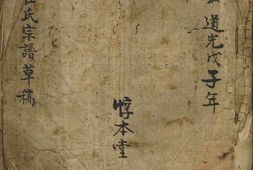 0557崔氏宗谱草稿 PDF电子版下载