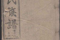 1111灊阳金氏族谱_合集 PDF电子版下载