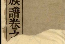 1311高明罗氏族谱_合集 PDF电子版下载