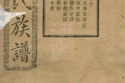 2093.唐氏五修族谱： [宁乡] PDF电子版下载