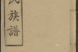 2310.杨氏五修族谱： [湖南汉寿] PDF电子版下载