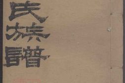 4110.谢氏续修族谱 PDF电子版下载