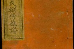 4121.瑞金叶坪谢氏八修族谱： 不分卷 PDF电子版下载
