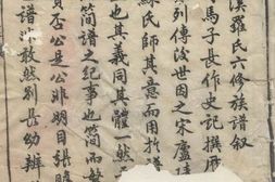 4335.瑞金密溪罗氏六修族谱： 不分卷 PDF电子版下载