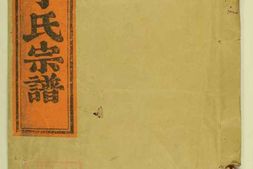 4518.彩烟丁氏宗谱： 十四卷：[新昌] PDF电子版下载