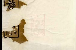 4552.丁氏族谱 PDF电子版下载