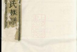 4693.白砂袁氏族谱 PDF电子版下载