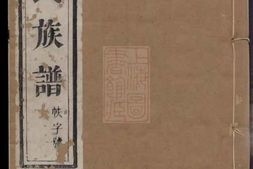 4694.维扬江都袁氏九修族谱： 十二卷 PDF电子版下载