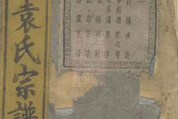 4732.暨阳浣东袁氏宗谱： 四十卷 PDF电子版下载