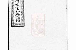 4749.醴东泉水湾袁氏三修族谱： 十一卷，首三卷，末三卷：[醴陵] PDF电子版下载