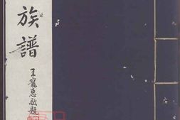 5067.徐氏族谱： 不分卷：[崞县] PDF电子版下载