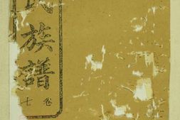 5877.杜氏族谱： [桃源] PDF电子版下载