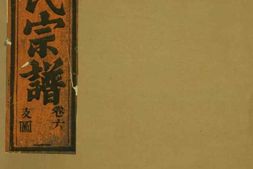 5969.华溪武平李氏宗谱： [永康] PDF电子版下载
