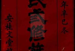 6017.武陵郡南李氏三修族谱： 十七卷，末一卷 PDF电子版下载