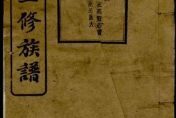 6128.岐头李氏三修族谱： [湘乡] PDF电子版下载