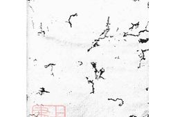 6148.李氏族谱： 不分卷：[新化] PDF电子版下载