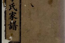 6201.额塘李氏家谱 PDF电子版下载