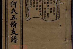 6587.蛇嘴子何氏五修支谱： 十六卷：[长沙] PDF电子版下载