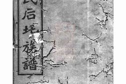 7039.湘乡后圫易氏族谱： 十二卷，首四卷 PDF电子版下载