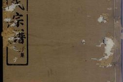 7727.施氏宗谱 PDF电子版下载