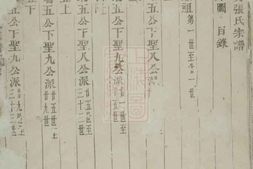 7949.浦阳平安张氏宗谱 PDF电子版下载