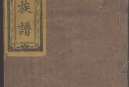8102.谢氏族谱 PDF电子版下载