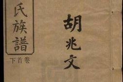 8122.机纺胡氏族谱： 十三卷，首二卷，末一卷，卷外一卷：[湖南湘阴] PDF电子版下载