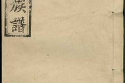 8147.邹氏族谱： 二十一卷：[江西][湖南] PDF电子版下载