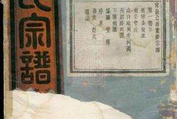8215.山口石林叶氏宗谱： ：[浙江金华] PDF电子版下载