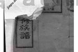 8239.宁乡衡田廖氏六修族谱： 十九卷，首三卷：[湖南宁乡] PDF电子版下载
