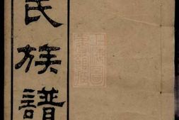8248.徐氏族谱： 四十六卷：[湖南长沙] PDF电子版下载