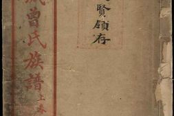 8283.武城曾氏族谱： 二卷：[重庆江津] PDF电子版下载