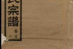 8297.叶氏宗谱： 九卷首二卷：[湖北麻城] PDF电子版下载