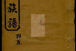 8366.吴氏族谱： 十卷首二卷：[湖南、江西] PDF电子版下载