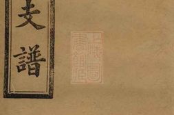 8389.张氏五修支谱： 二十卷：[湖南益阳] PDF电子版下载