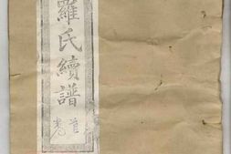 8409.上湘田心罗氏续谱 PDF电子版下载