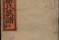 8436.豫章郡罗氏族谱 PDF电子版下载