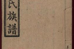 8447.夏氏续修族谱 PDF电子版下载
