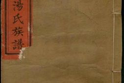 8528.万载珠树汤氏族谱： 十卷首一卷 ：[江西万载] PDF电子版下载
