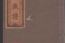 8536.谢氏族谱 PDF电子版下载