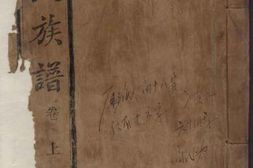8549.魏氏族谱 PDF电子版下载